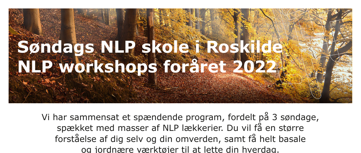 Søndags NLP Skole i Roskilde