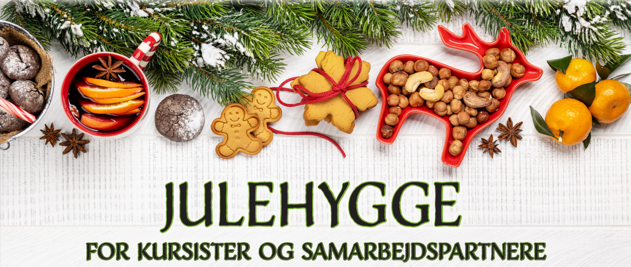 Julehygge på NLP Skolen